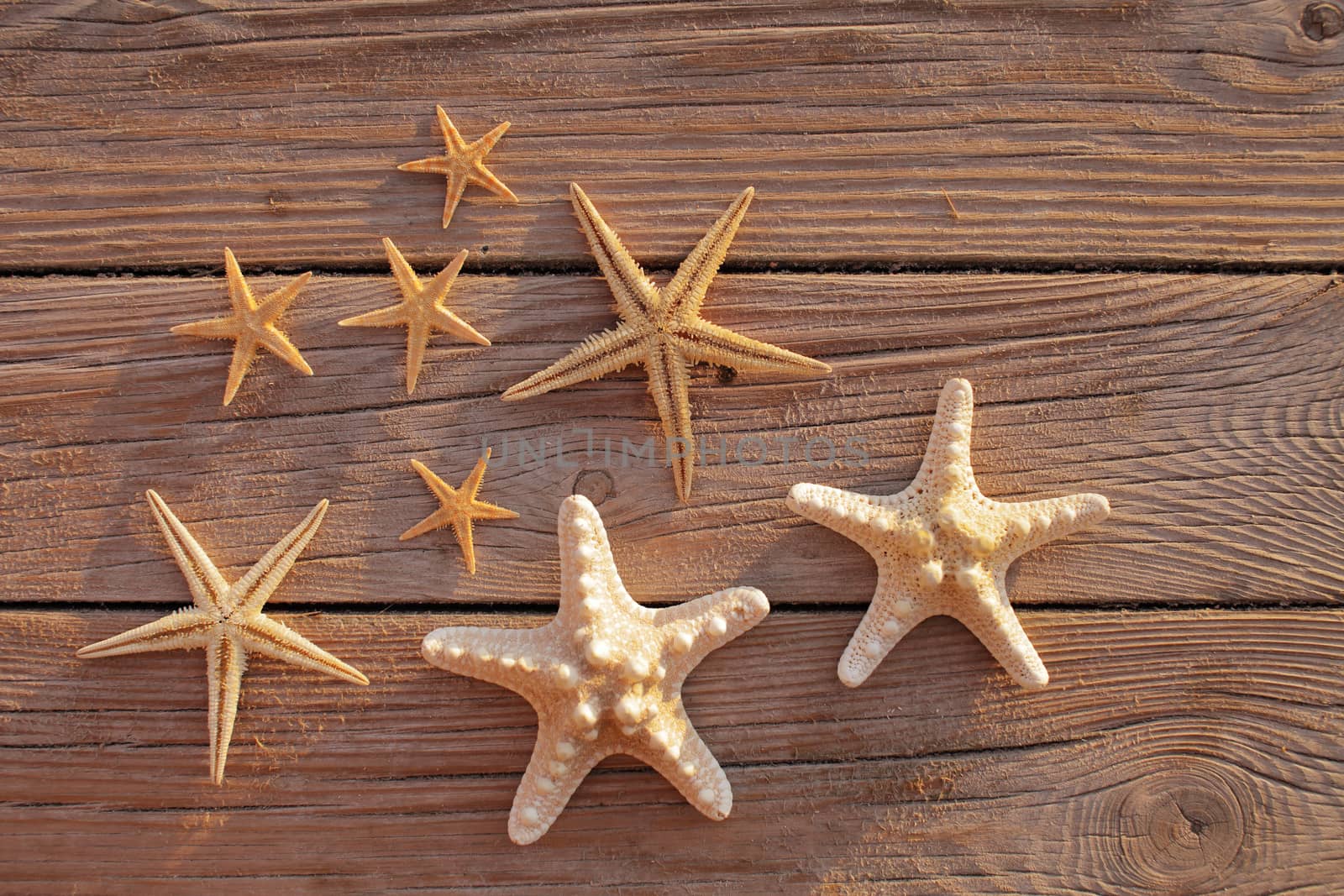 Starfish on a wooden pier poured over a wooden deck. Summer vacation concept. Holidays by the sea. High quality photo