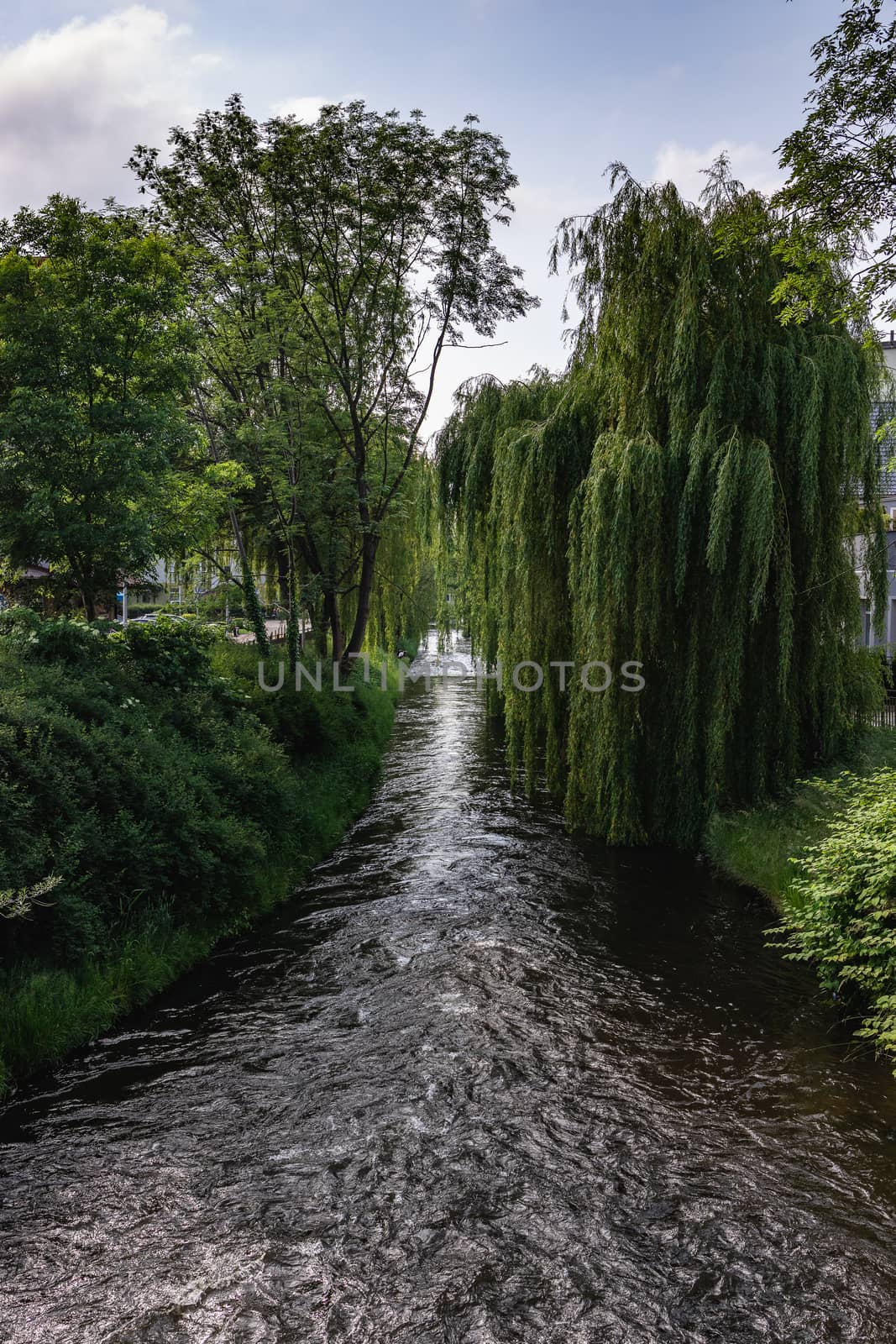 landscape with the Łeba River in the city of Lębork in Poland by Lukrecja