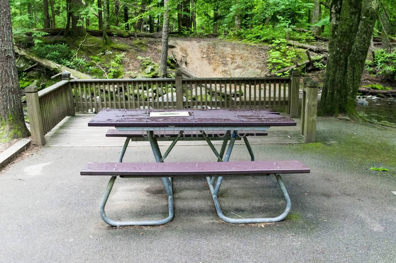 Horizontal shot of a picnic table in a wooded area with a fence behind it.