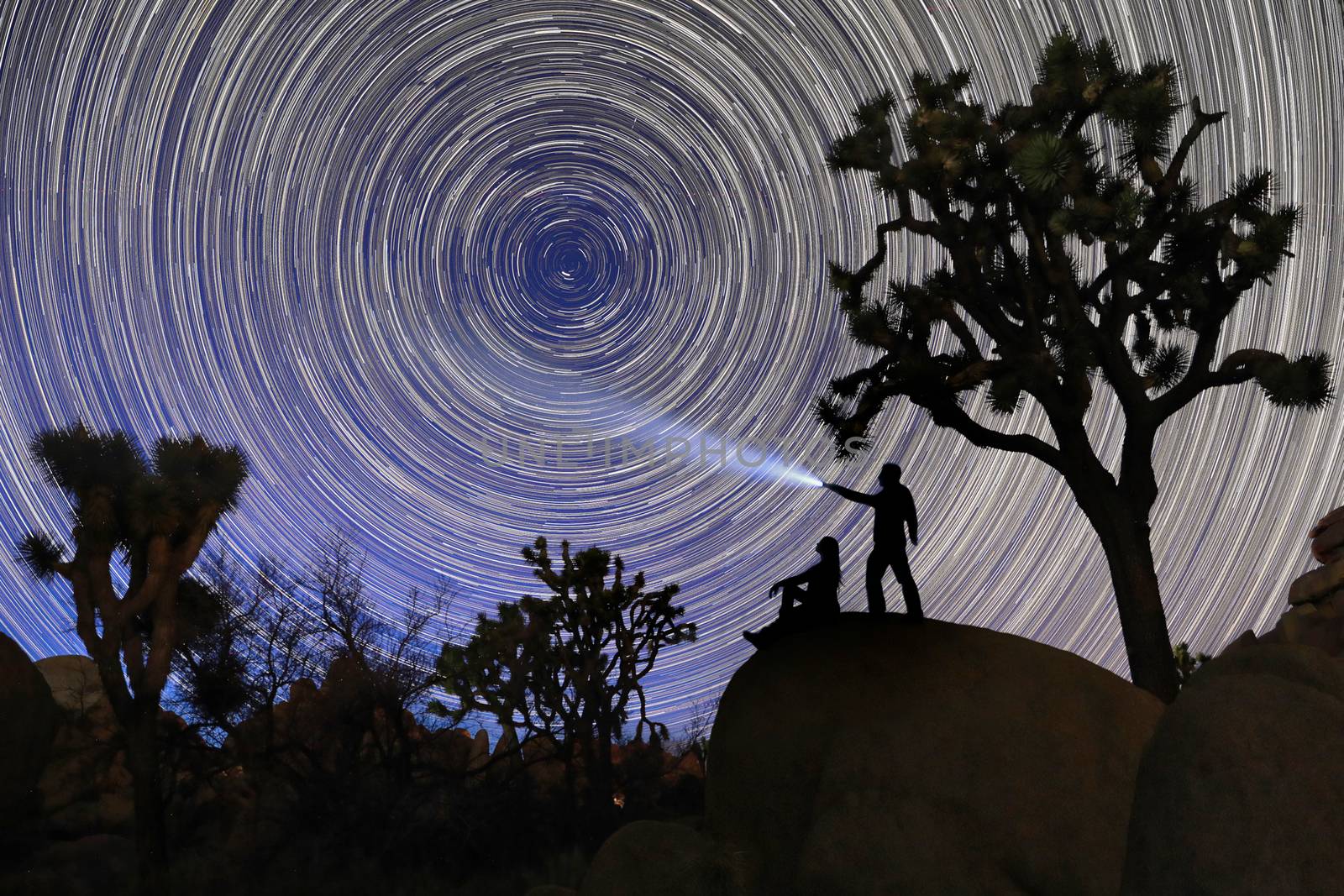 Happy Couple Silhouette Under the Stars at Night