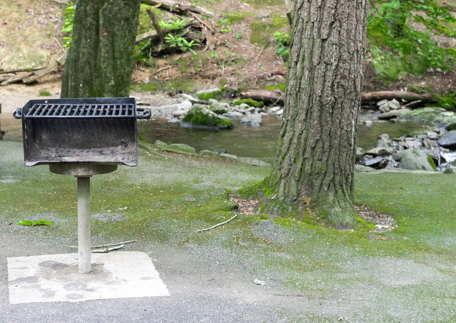 Horizontal shot of a heavily used barbecue grill at a picnic area with trees and a stream behind it.