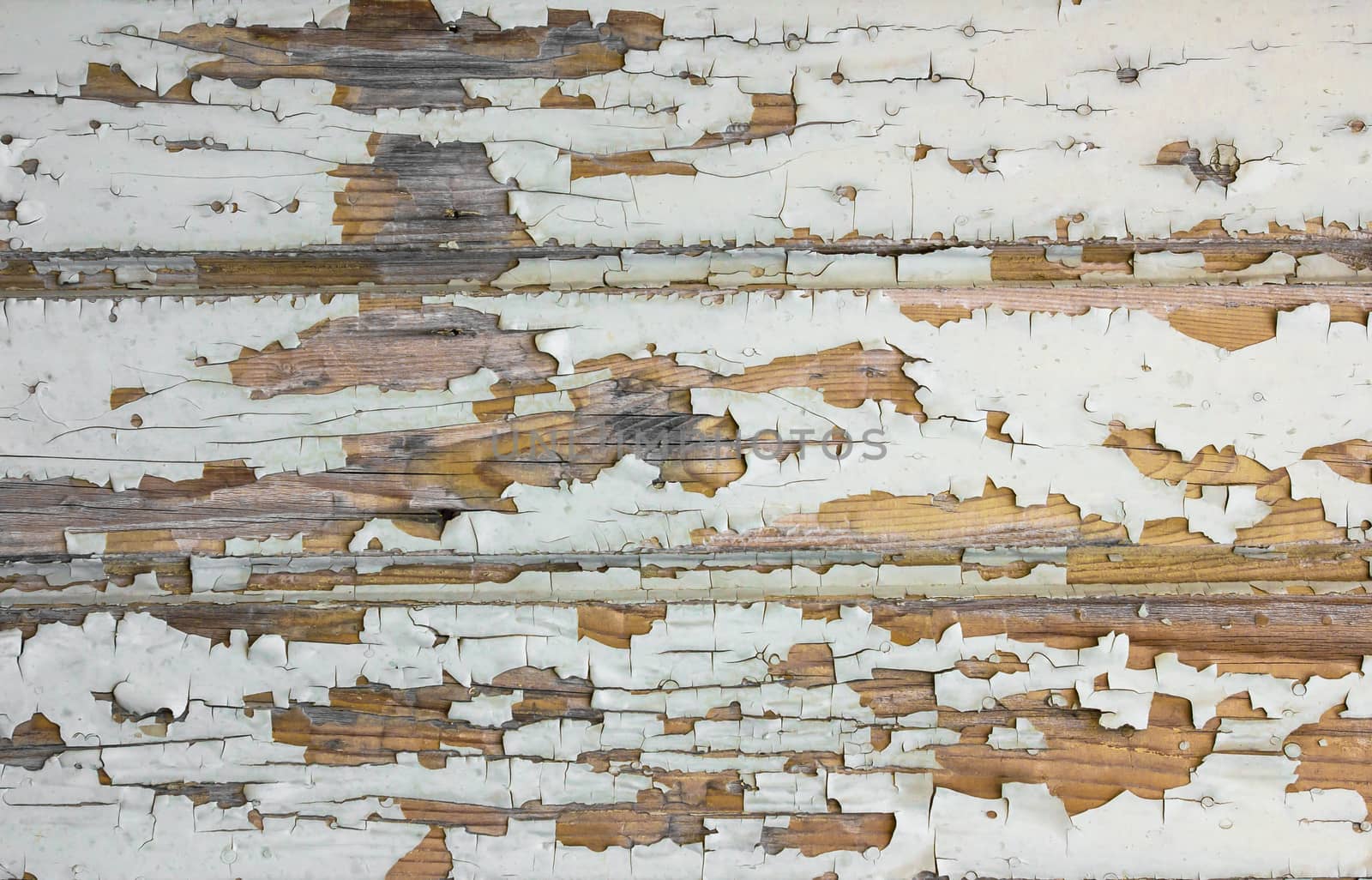 Wooden wall with white paint is severely weathered and peeling