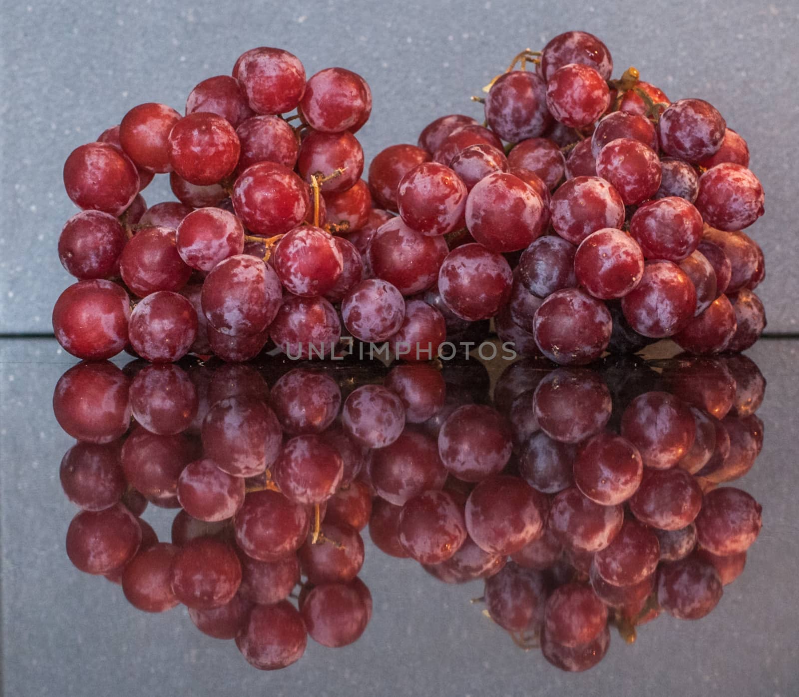 Red grapes on the vine on a grey background by sirspread