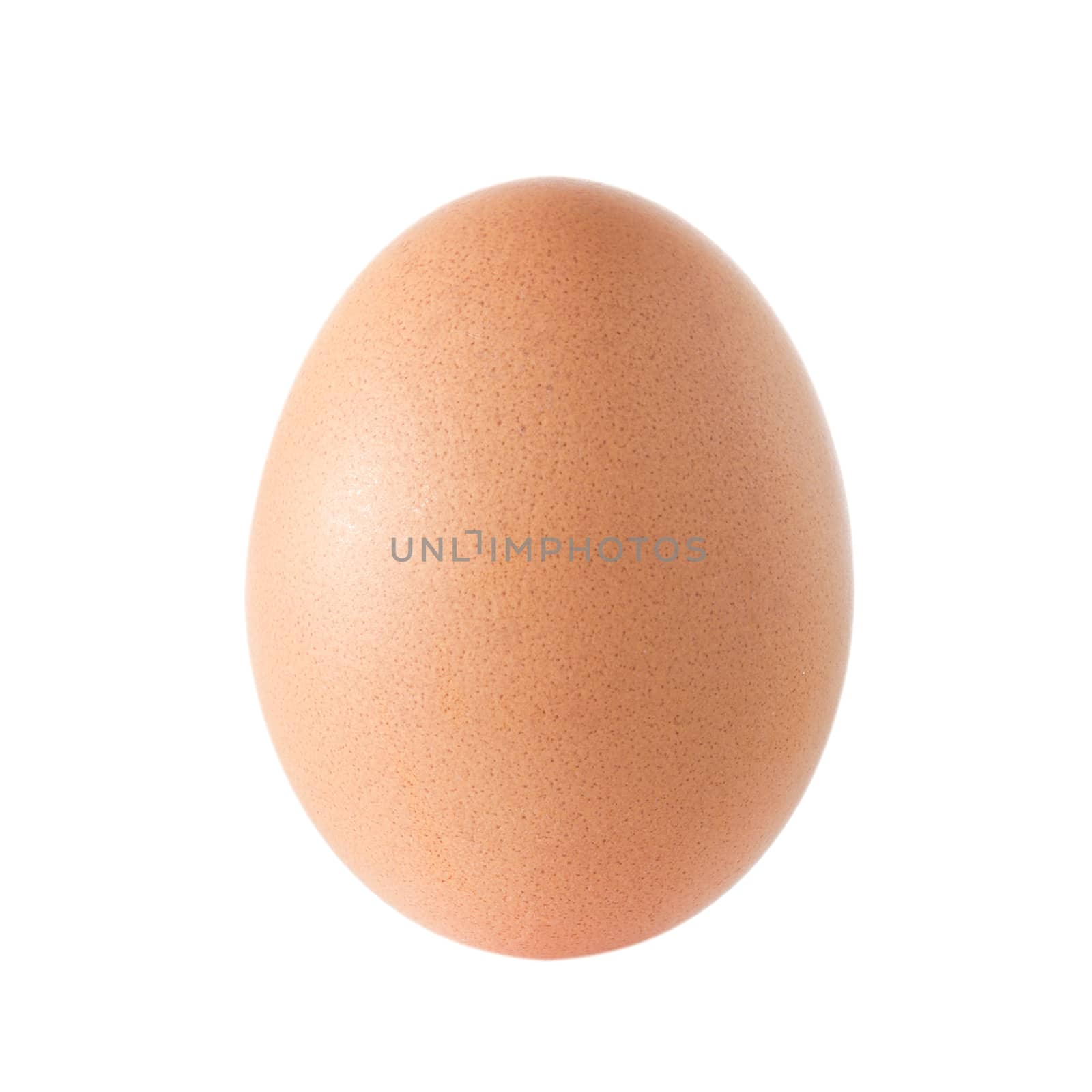 Single brown chicken egg on white background, with clipping path