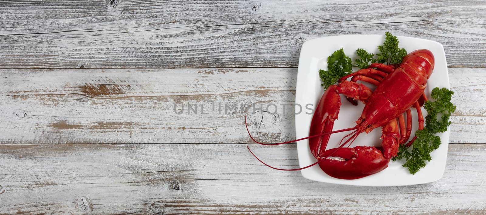 Whole red lobster with fresh parsley on serving plate. Overhead view with ample copy space with white rustic wooden background 