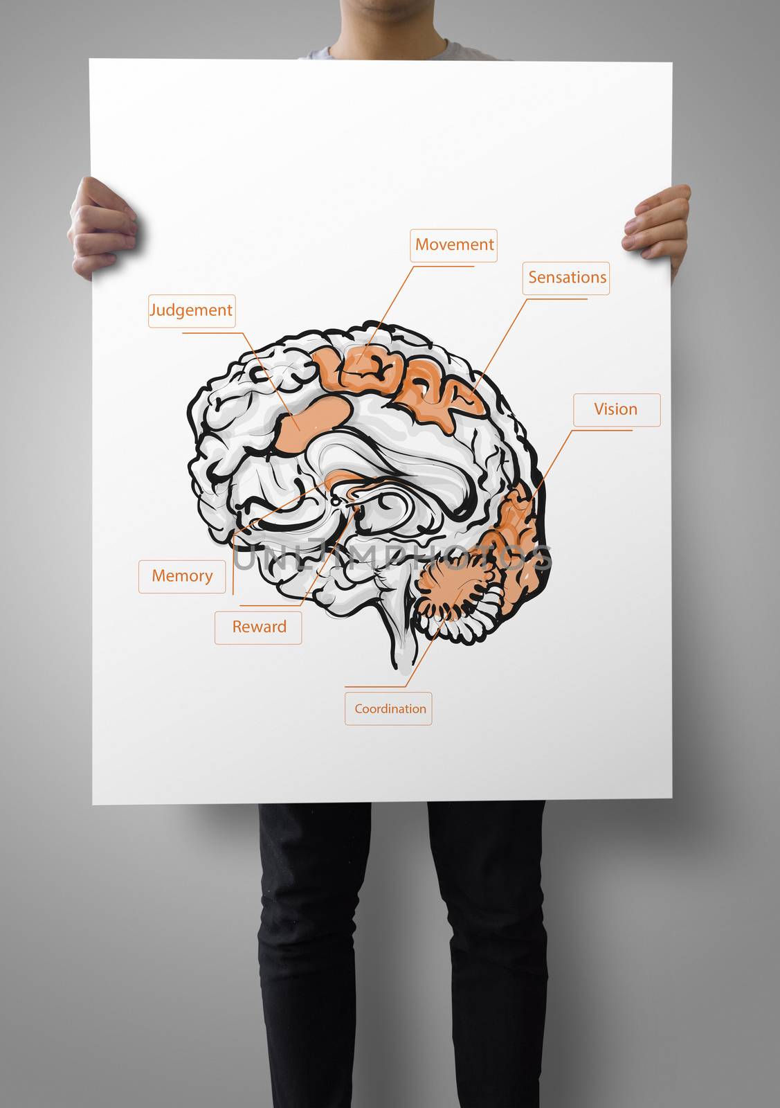 man showing poster of hand drawn brain as medical concept 