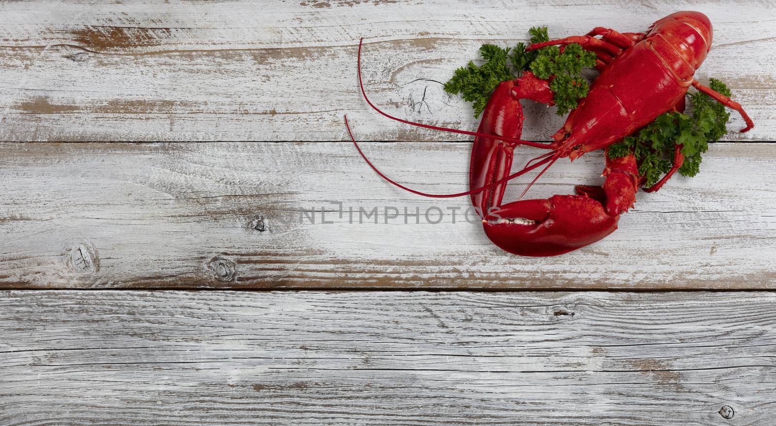 Whole red lobster with fresh parsley on white rustic wooden tabl by tab1962