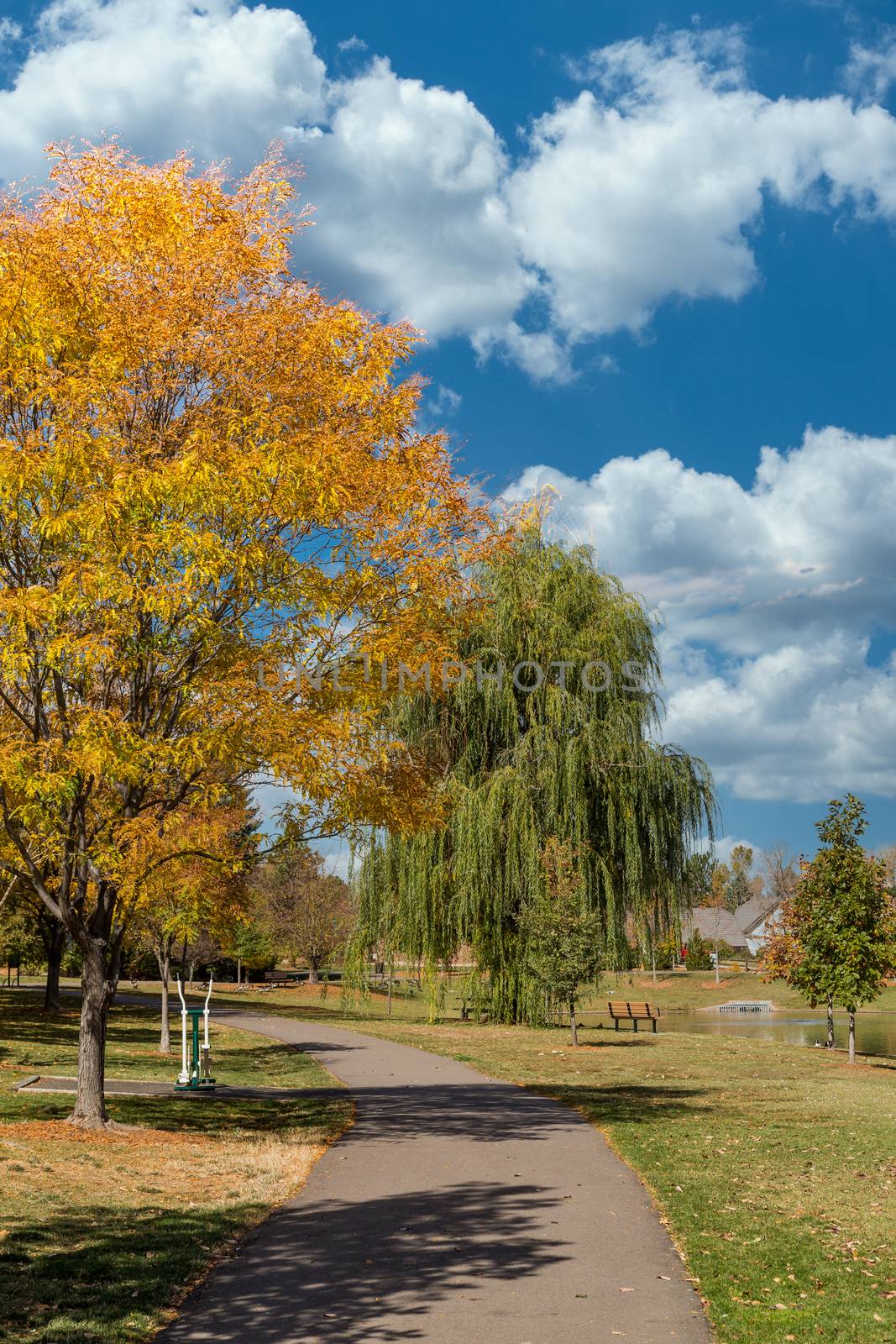 Park Pathway in Fall by dbvirago