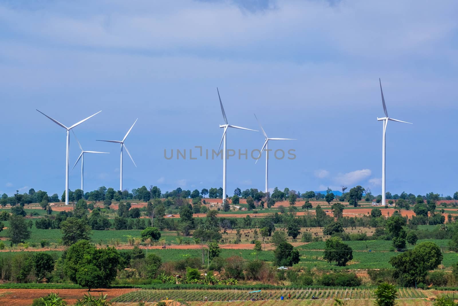 Wind turbine power at daylight 