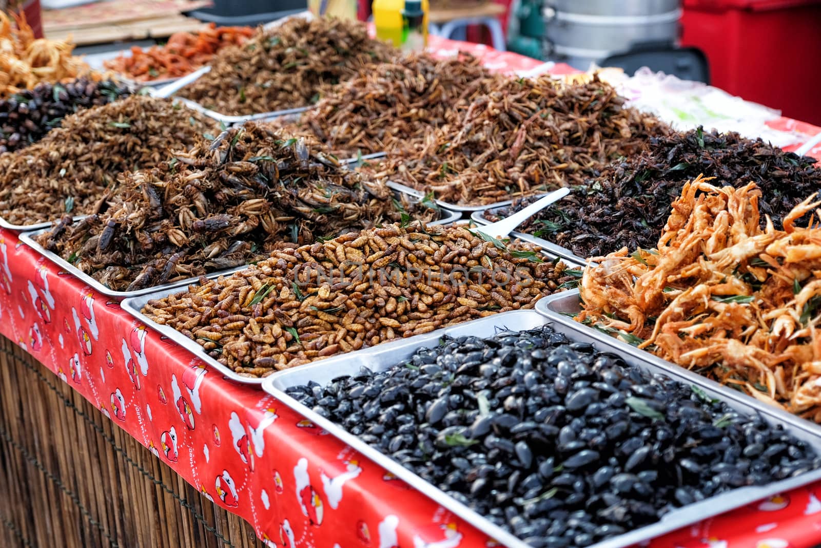 Fried insects street food in Thailand by Surasak