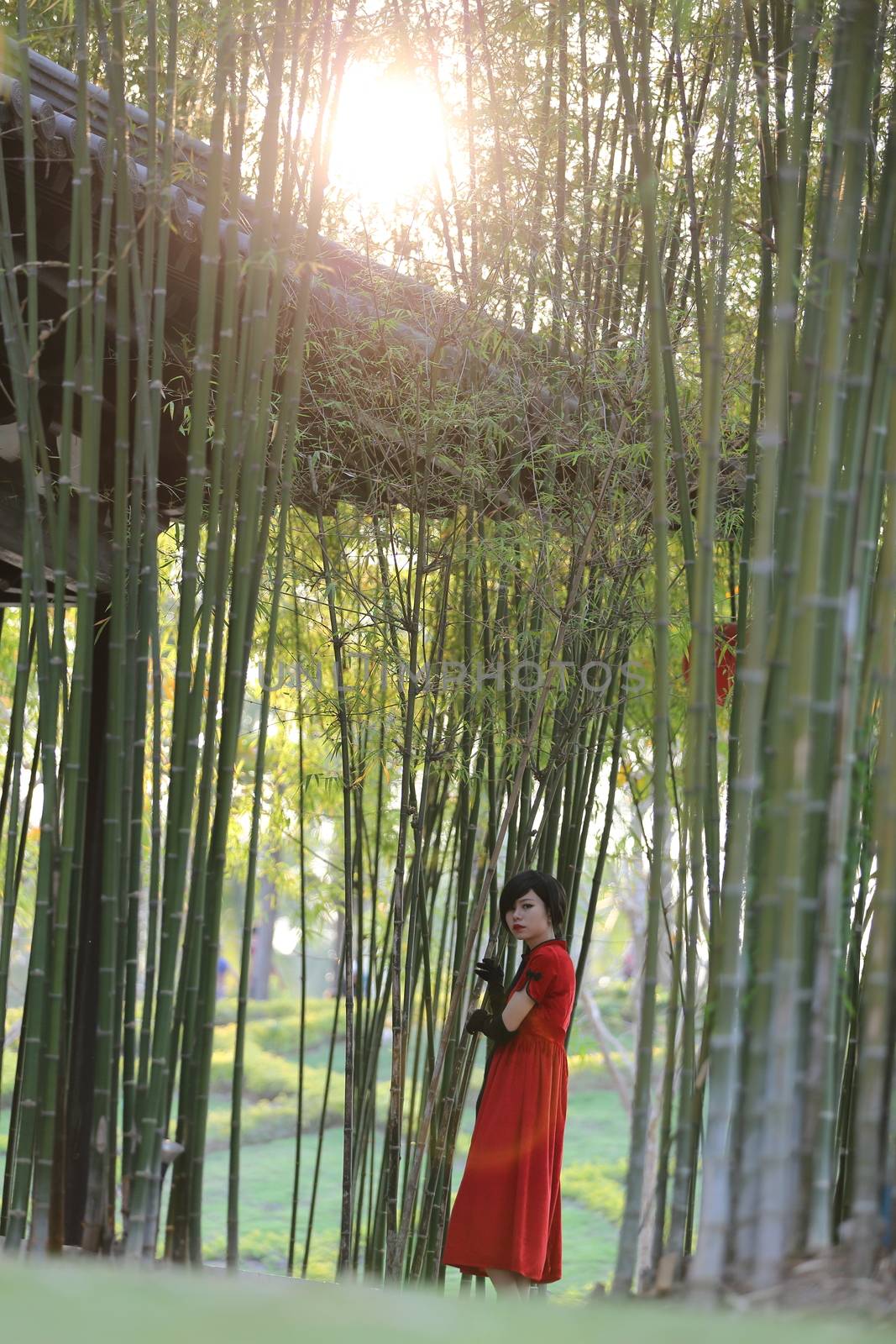 happy Chinese new year. beautiful young Asian woman dress tradit by piyato