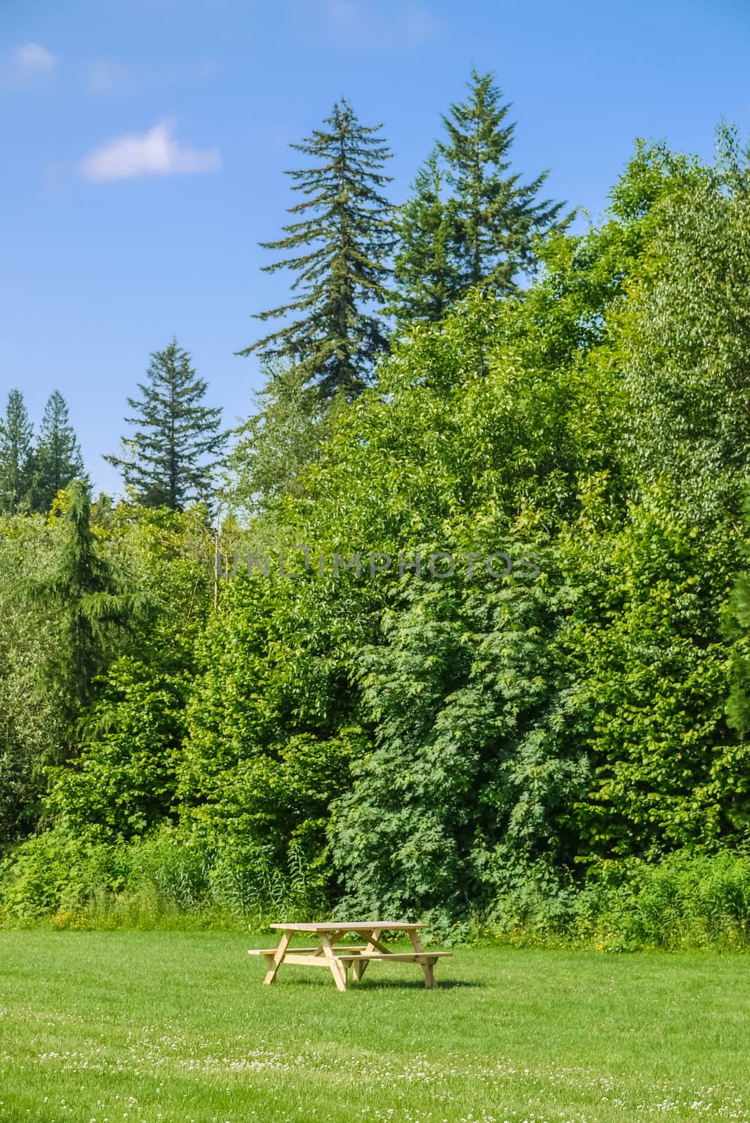 Recreation area with picnic table on green lawn in a park