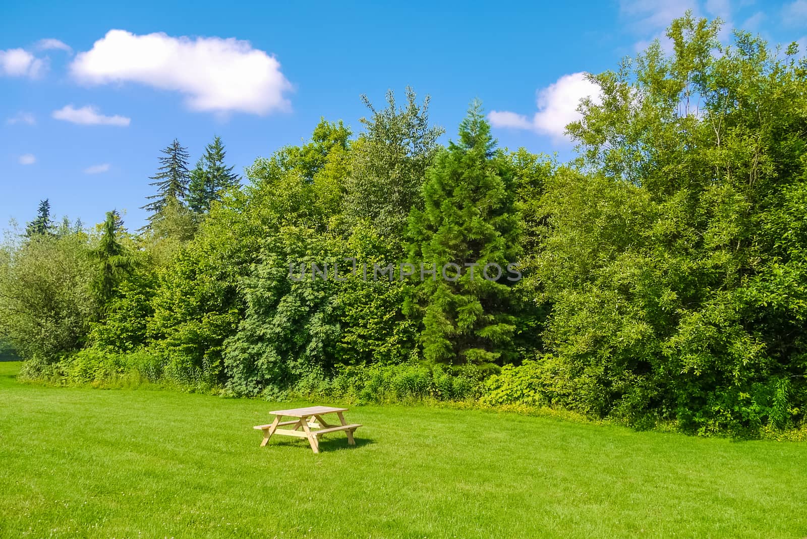 Recreation area with picnic table on green lawn in a park