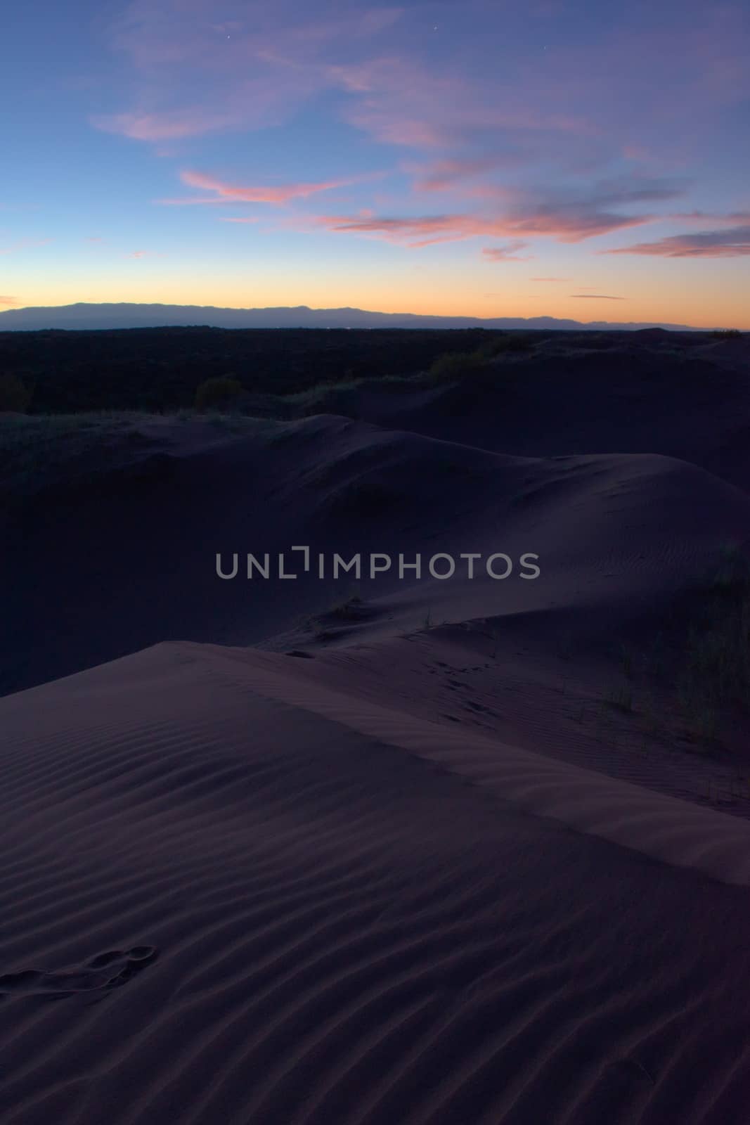Purple sand dunes at twilight in the desert of Lavalle, province of Mendoza, Argentina