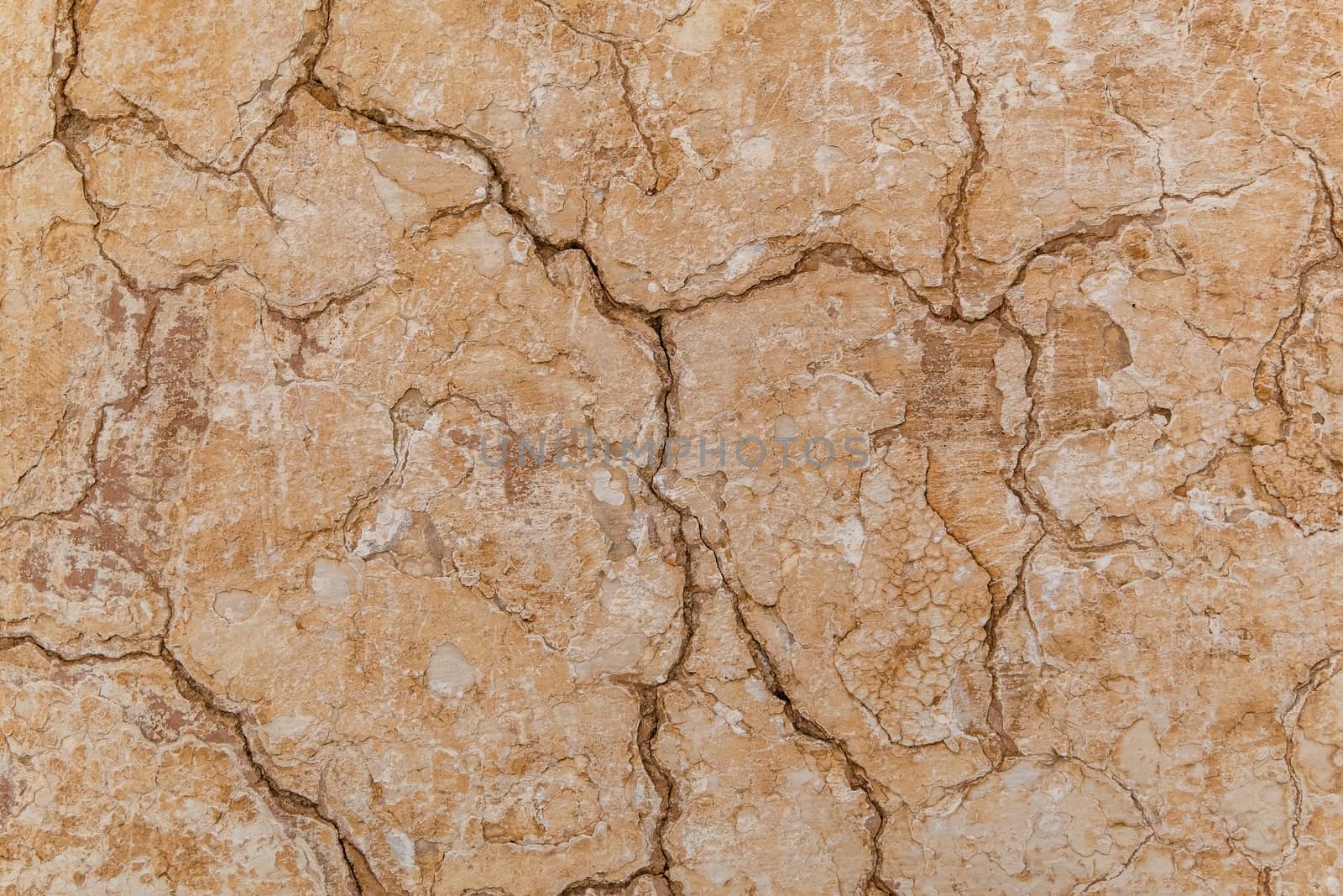 Brown adobe clay wall texture background. by Tanarch