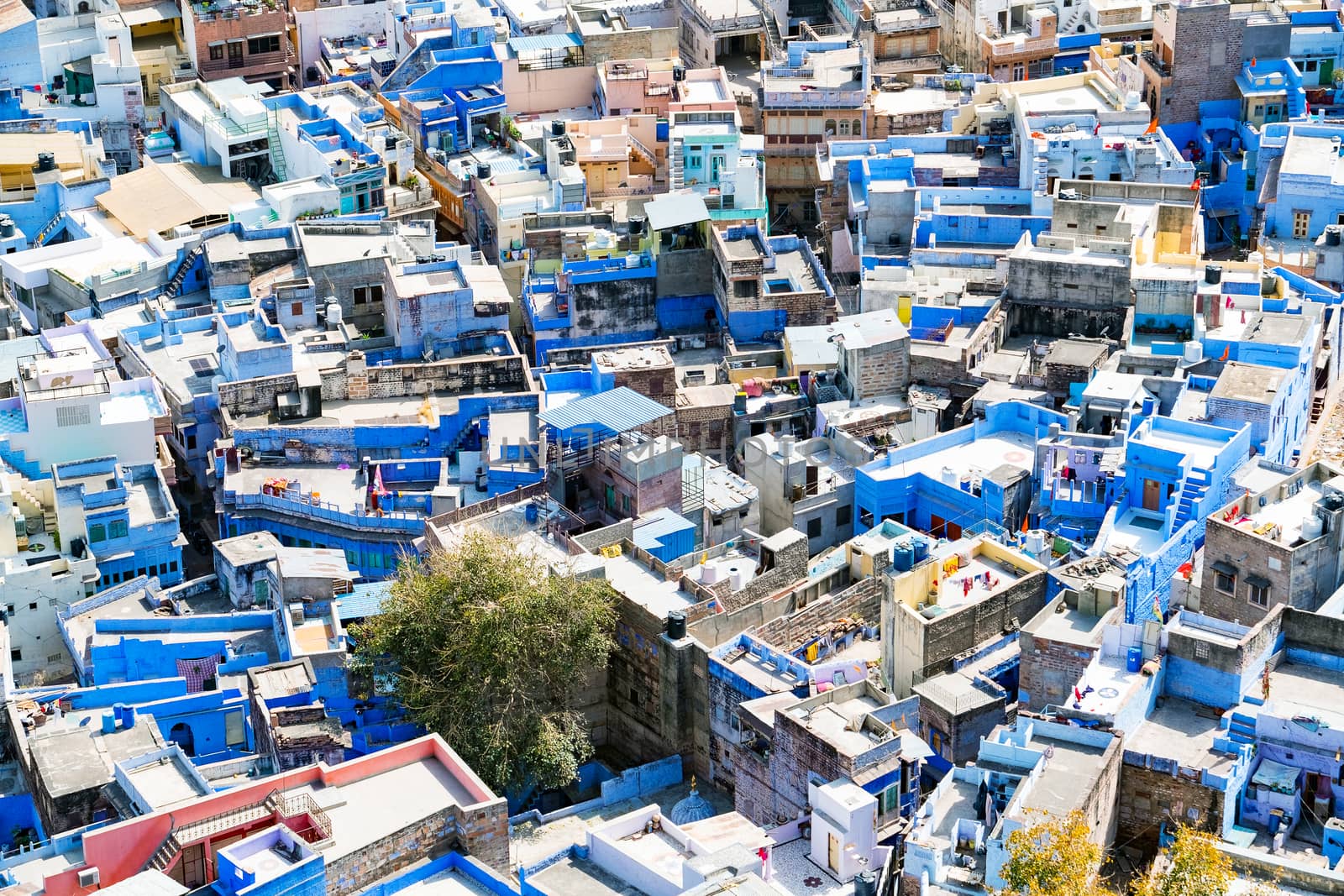 Aerial view of Jodhpur city, Rajasthan, India. The famous blue city, seen from Mehrangarh fort.