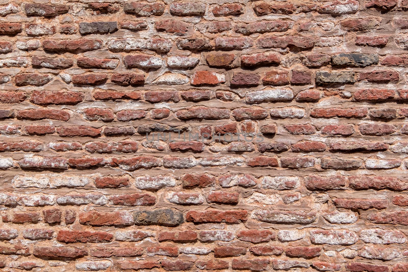 Red brick wall texture background. by Tanarch
