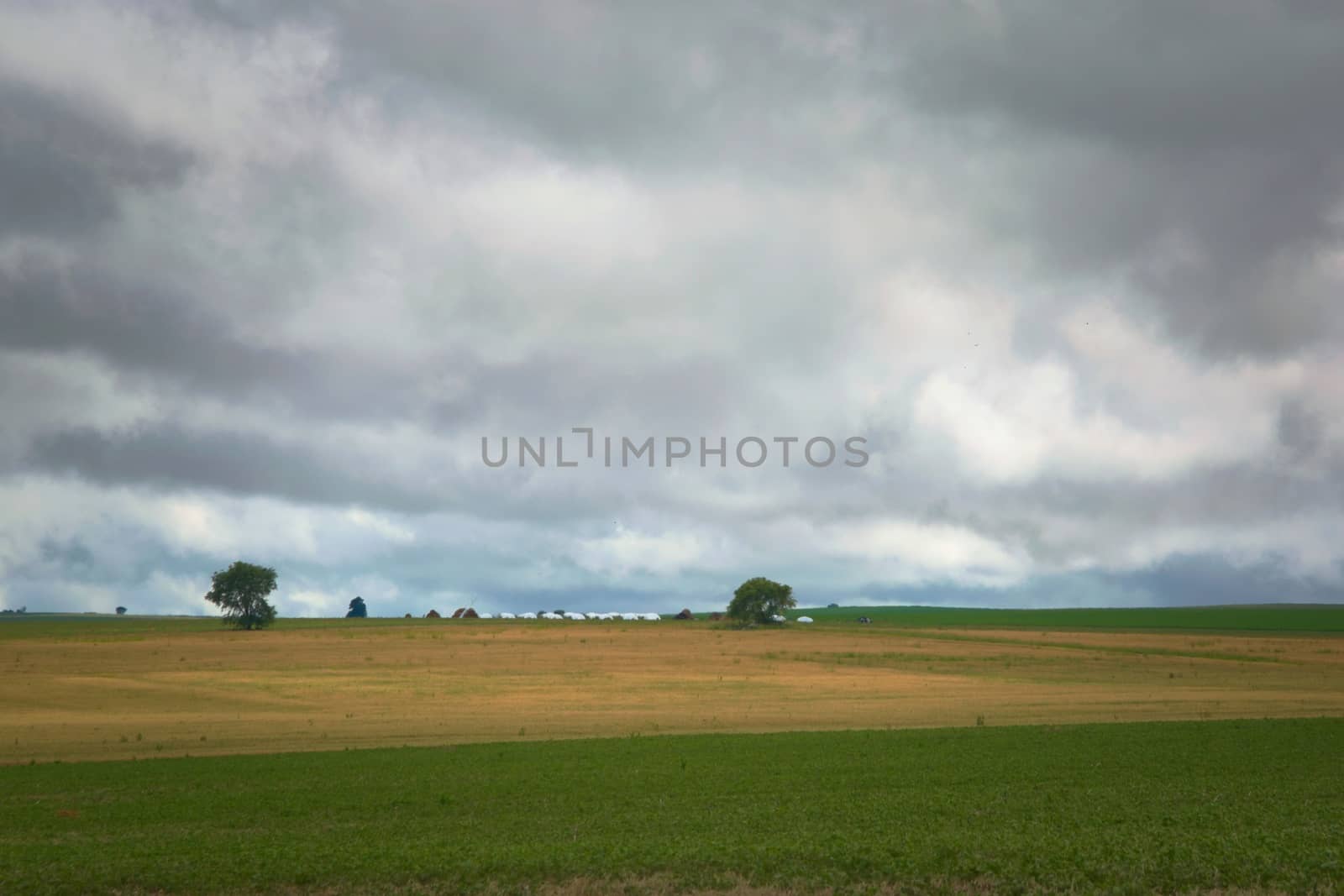 Heavy storm clouds over an agricultural field in San Luis, Argentina.