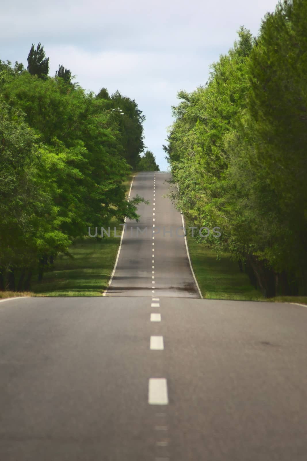 Undulating road on a hillside in a wooded area of San Luis, Argentina.