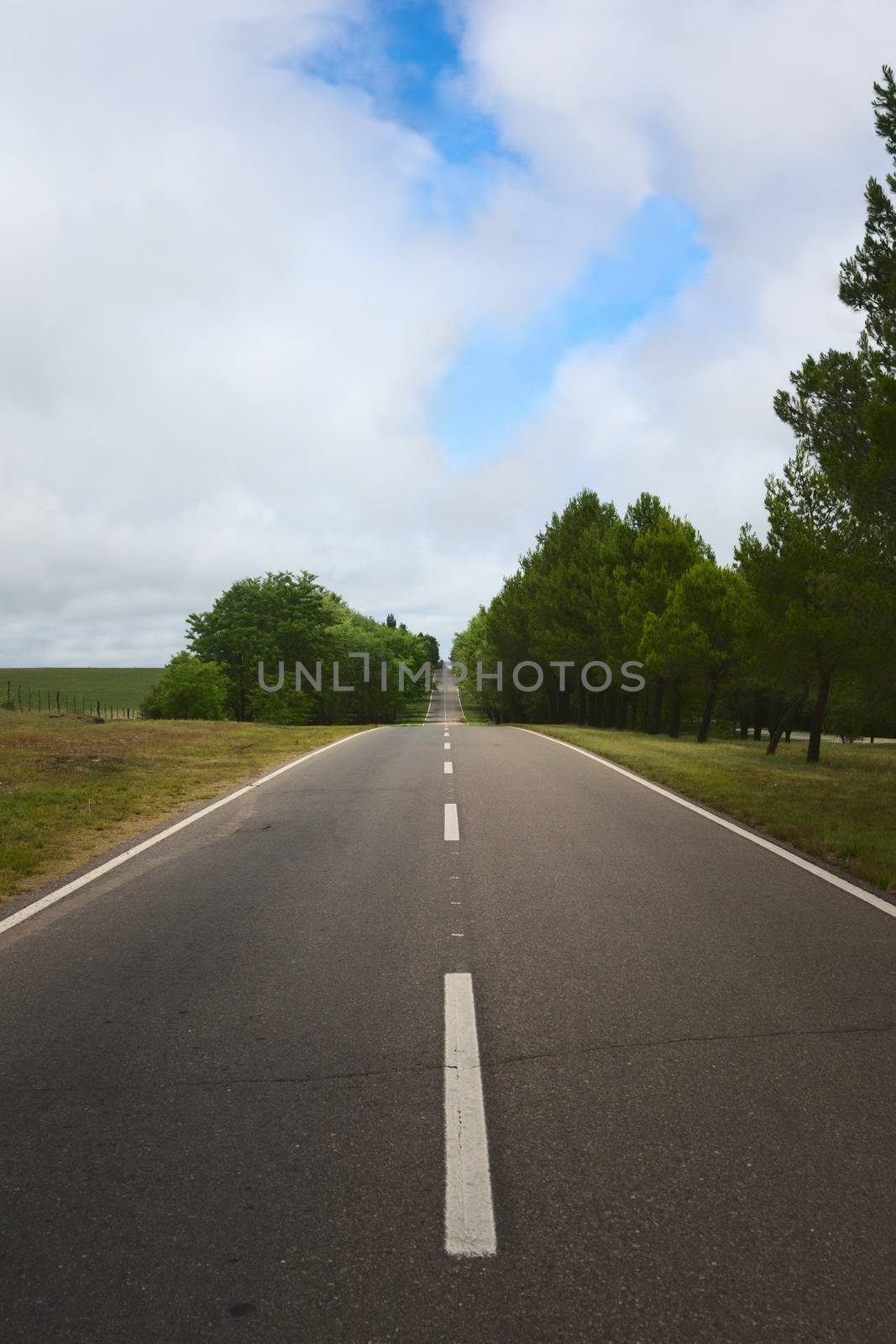 Wide asphalt road vanishing in the horizon in a hilly region of San Luis, Argentina.