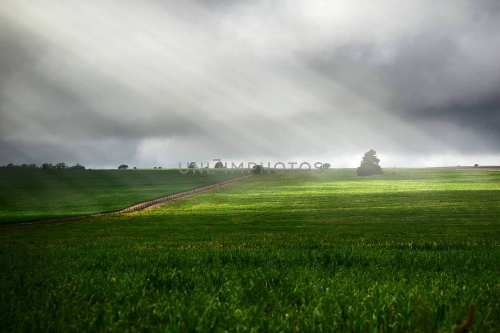 Green meadow lit by epic sunbeams on a stormy day in San Luis, Argentina.