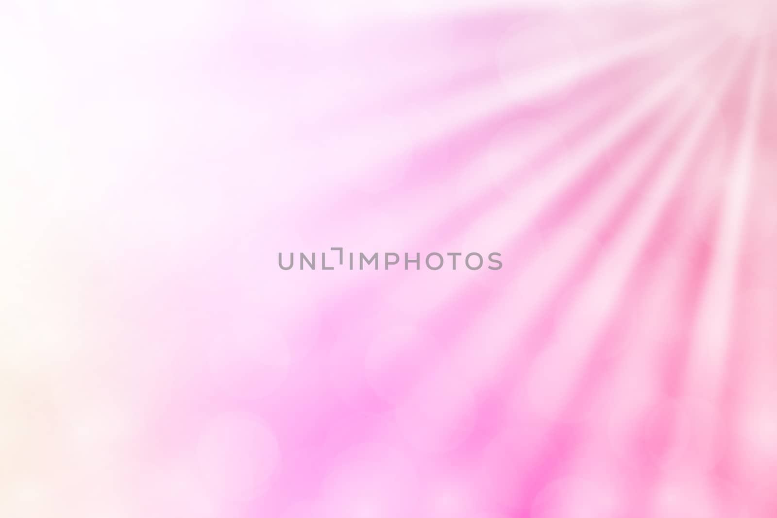 colorful pink bokeh lights beam shine on gradient pink background for copy space, bokeh colorful light pink soft shade, bokeh lights shine on gradient soft pink by cgdeaw