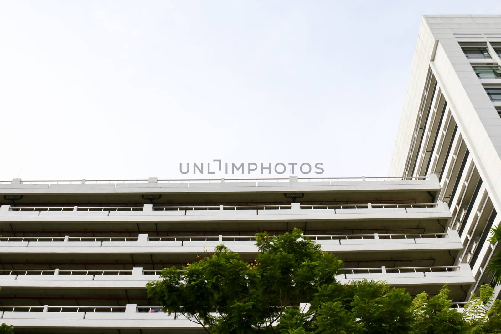 Building, School Building, White Building View from below by cgdeaw