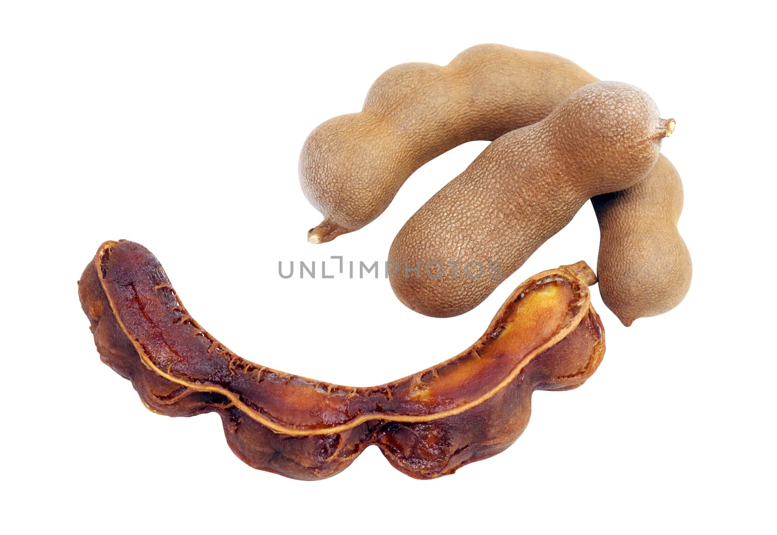 tamarind, sweet tamarind, brown tamarind, tamarind peel isolated on white background by cgdeaw