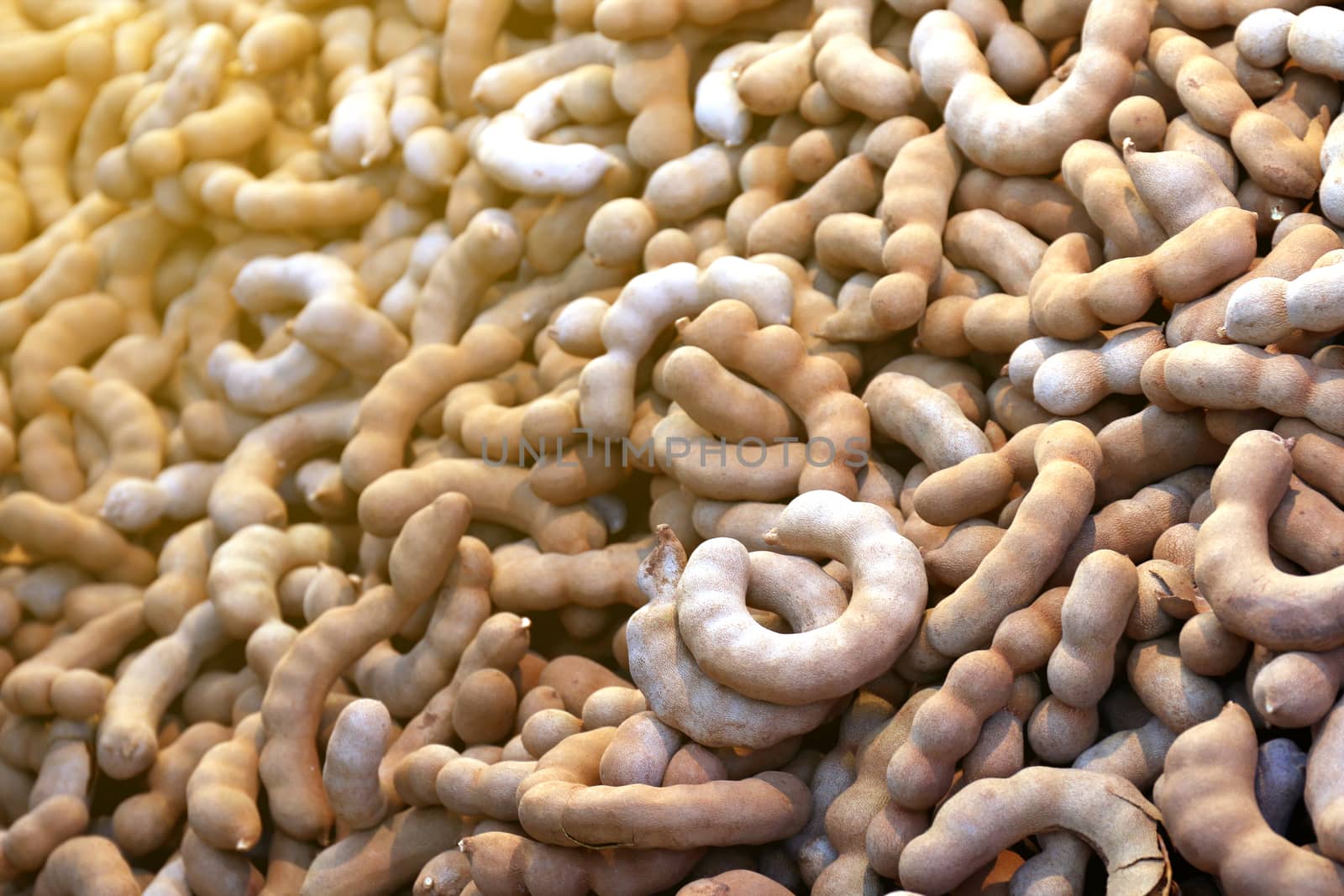 tamarind, organic tamarind nature, tamarind heap, tamarind for background