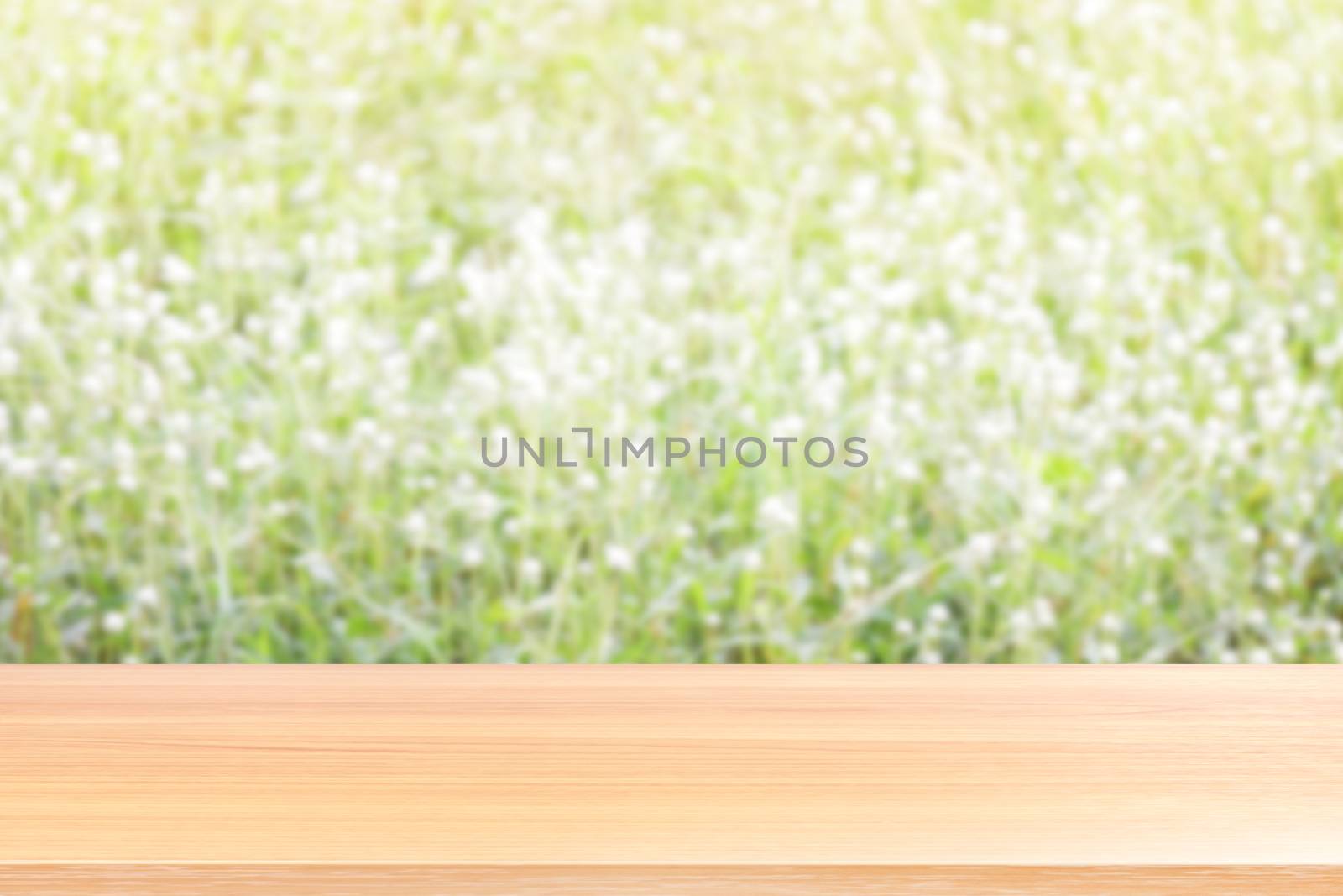 wood plank on blurred flower grass white green soft background, empty wood table floors on blurred flower white soft in garden nature background, wood table board empty for mock up display products