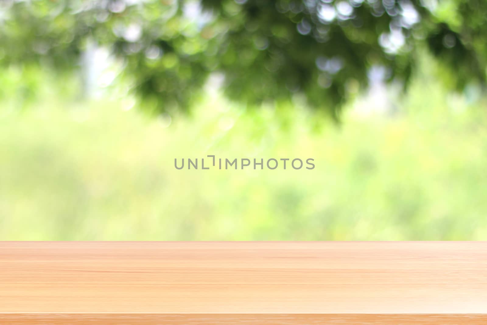 empty wood table floors on bokeh blurred tree nature green forest background, wood table board empty front blur tree, wooden plank blank with perspective brown wood table for mock up display products by cgdeaw