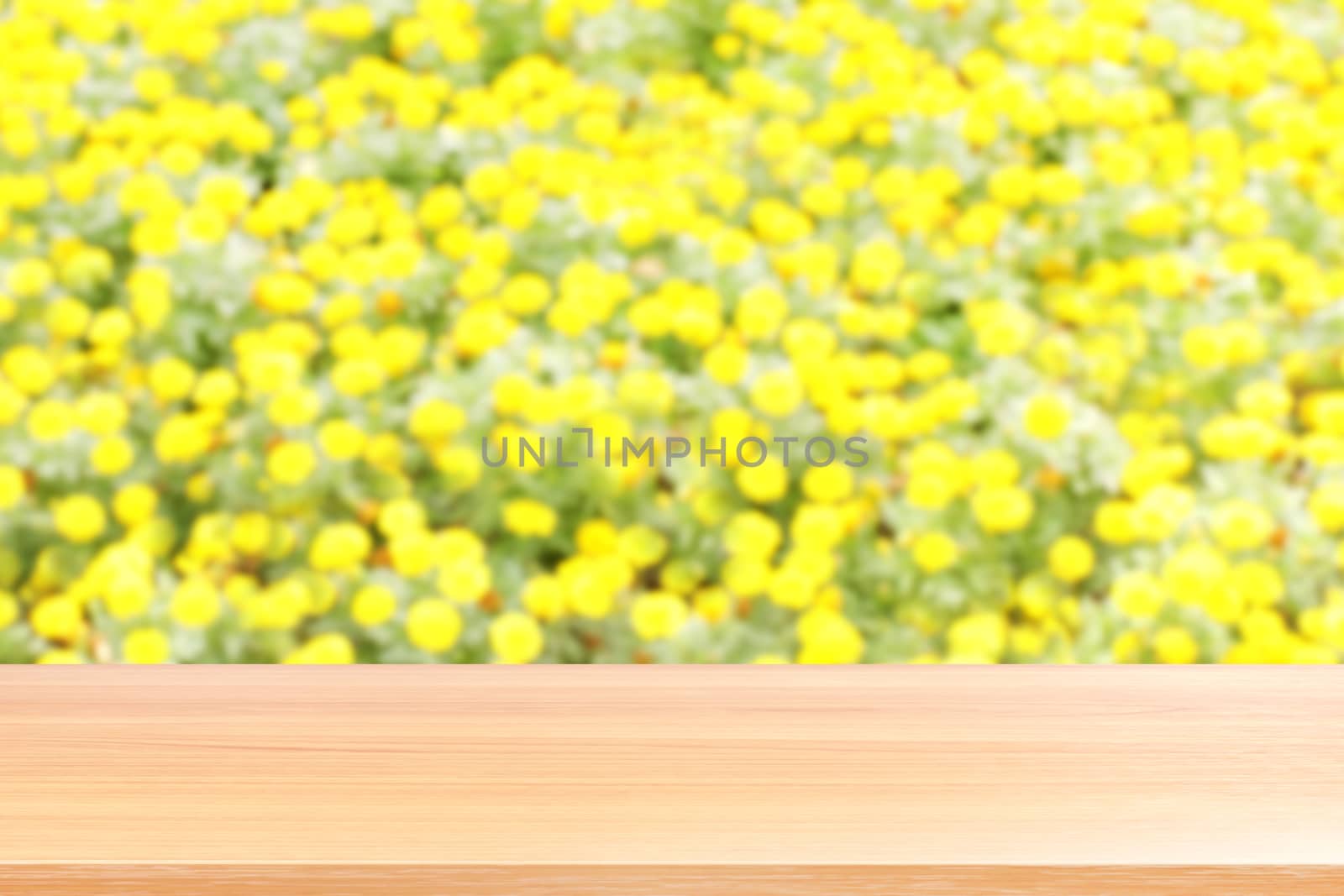 wood plank on blurred flower yellow soft background, empty wood table floors on blurred flower yellow soft garden nature background, wood table board empty for mock up display products by cgdeaw