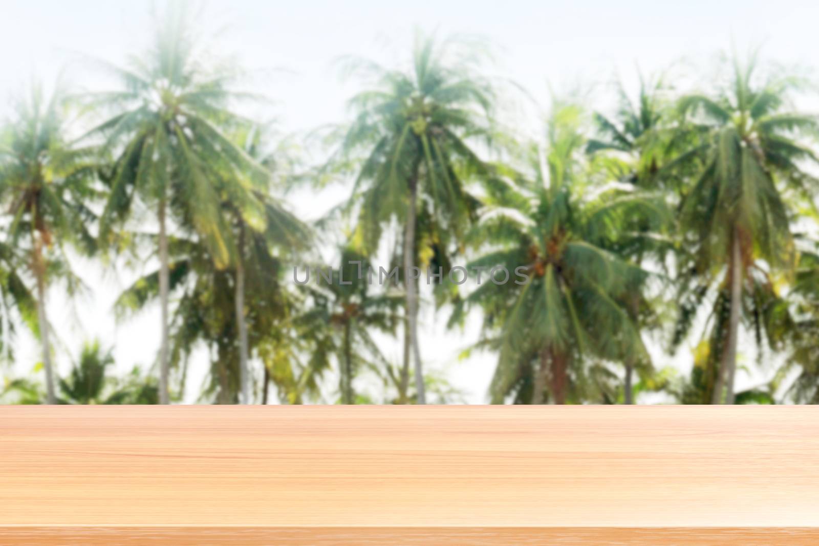 wood plank on coconut tree rows background blurred, empty wood table floors on coconut tree picture blur, wood table board empty front background coconut plantation nature for mock up display products