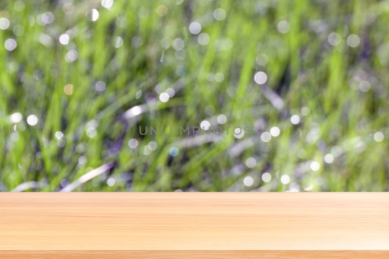 wood plank on blurred bokeh soft grass nature background, empty wood table floors on bokeh of dew grass natural green, wood table board empty front background grass abstract light green by cgdeaw