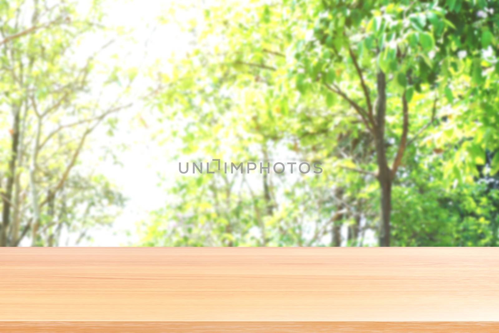 empty wood table floors on bokeh blurred tree nature green forest background, wood table board empty front blur tree, wooden plank blank with perspective brown wood table for mock up display products by cgdeaw