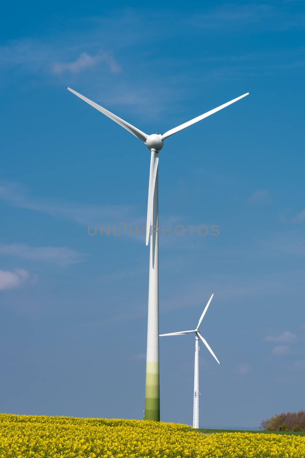 Wind-turbines in a blooming rapeseed field seen in Germany