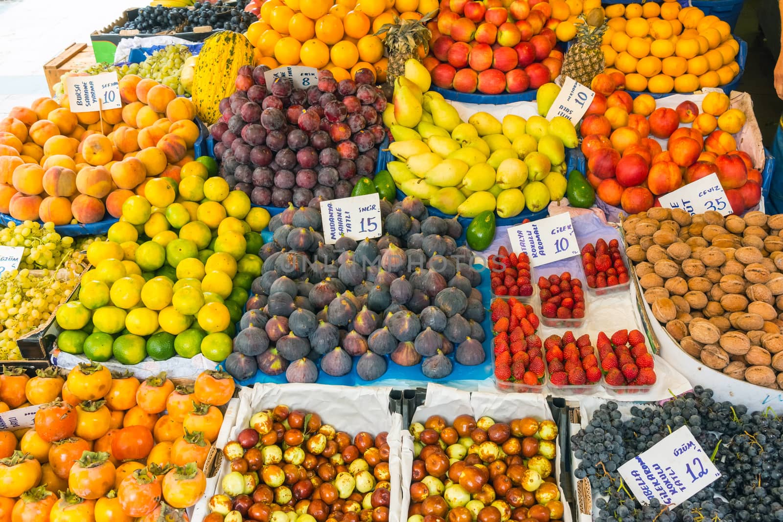 Great variety of fruits at a market by elxeneize