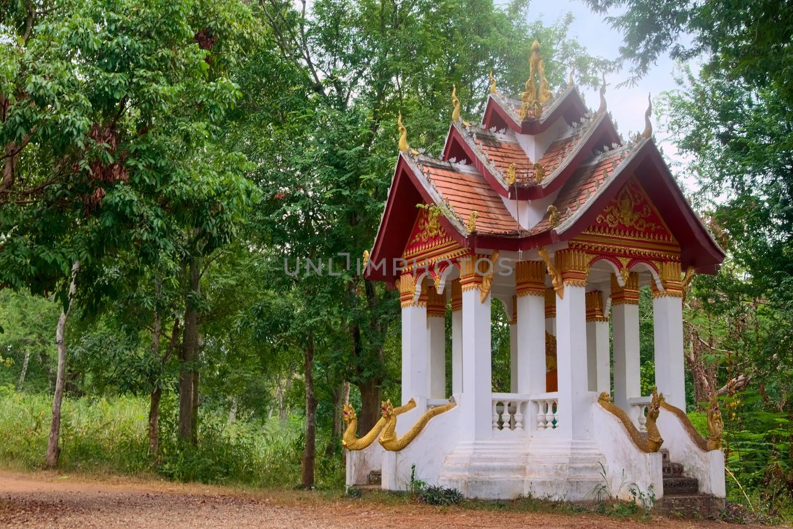 Buddhist shrine hidden in the forest near Luan Prabang, Laos.