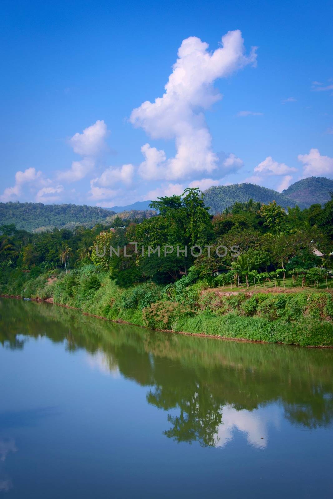 Lush jungle on a sunny day by Nam Khan river, in Luang Prabang, Laos. by hernan_hyper