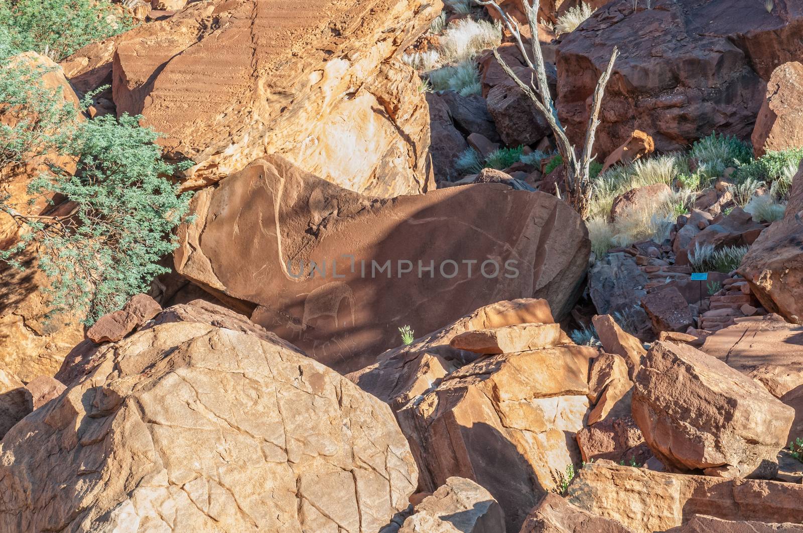 Rock engravings at Twyfelfontein in Damaraland, Namibia