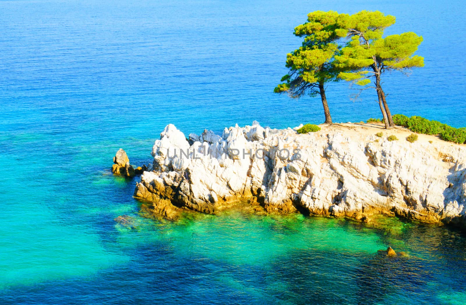 turquoise water, pine trees and rocky coastline of Skopelos, Greece