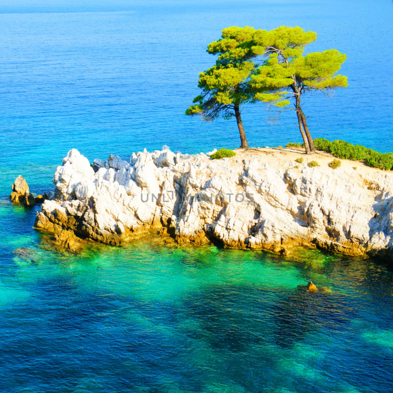 turquoise water, pine trees and rocky coastline of Skopelos, Greece by Jindrich_Blecha