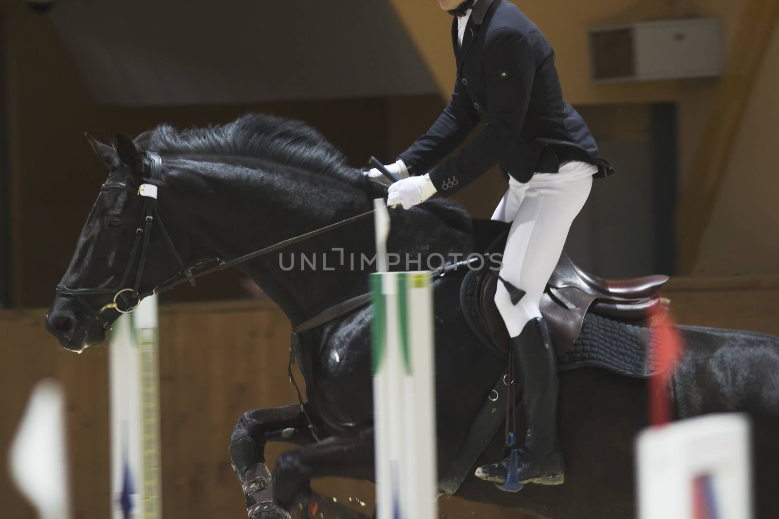 Young rider on black horse galloping at show jumping competition by Studia72