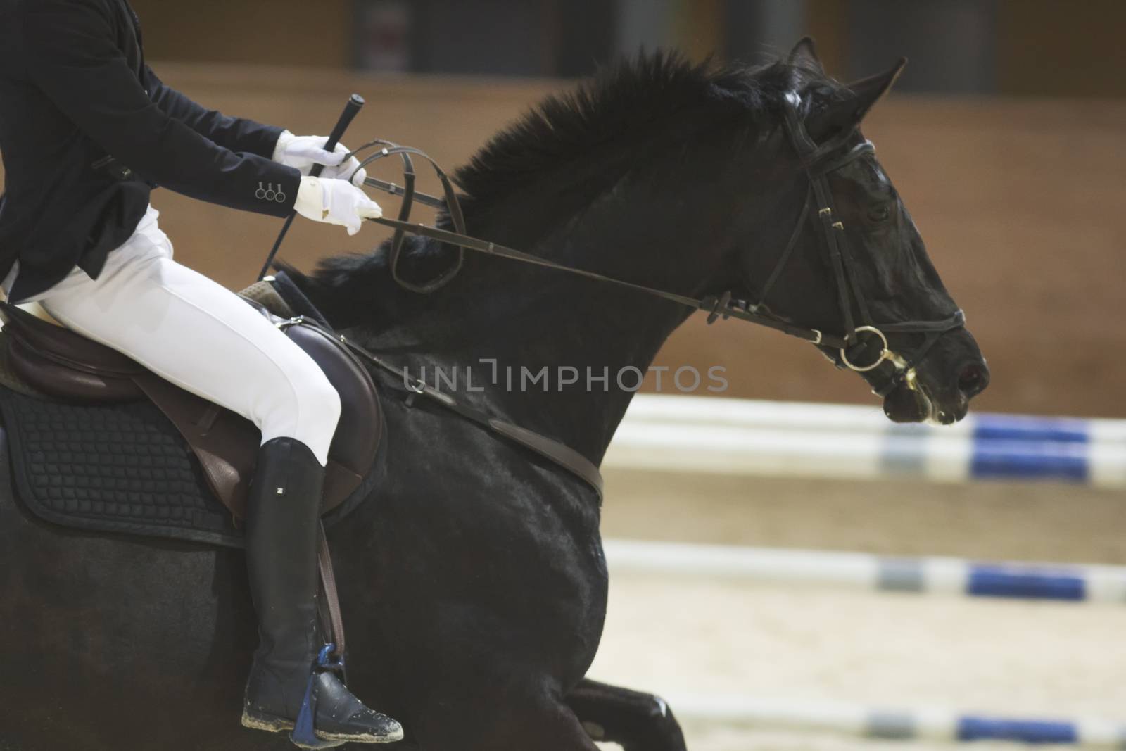 Young rider sitting on black horse at the show jumping competition, close up