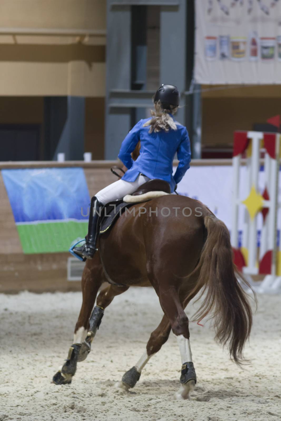 Rear view of equestrian rider running on stallion at the competition, telephoto shot