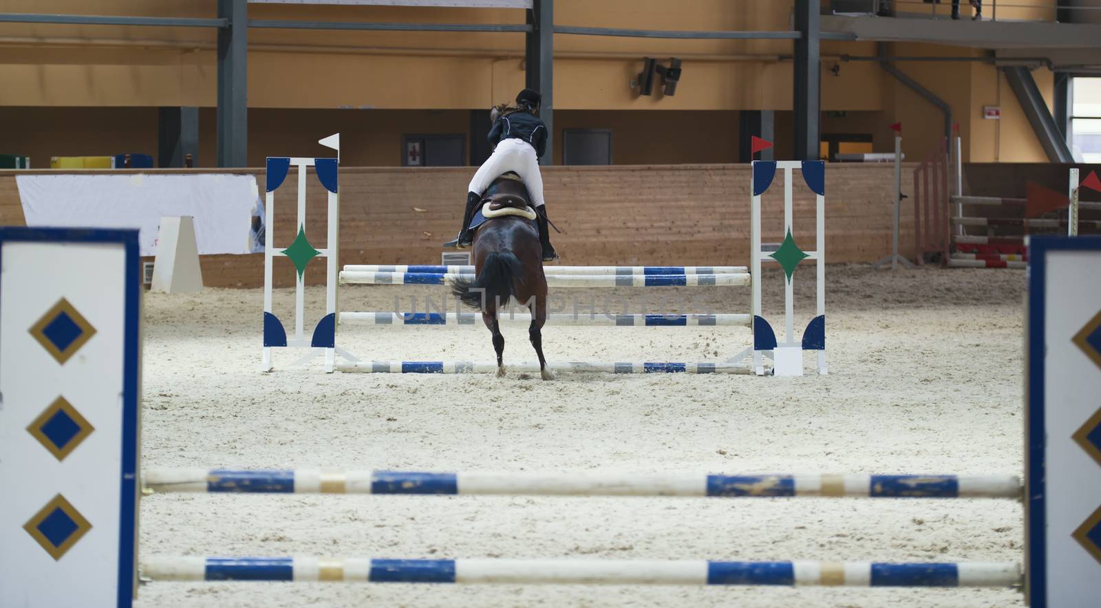 Young female rider on sorrel stallion jumping over hurdle on show jumping competition, telephoto shot