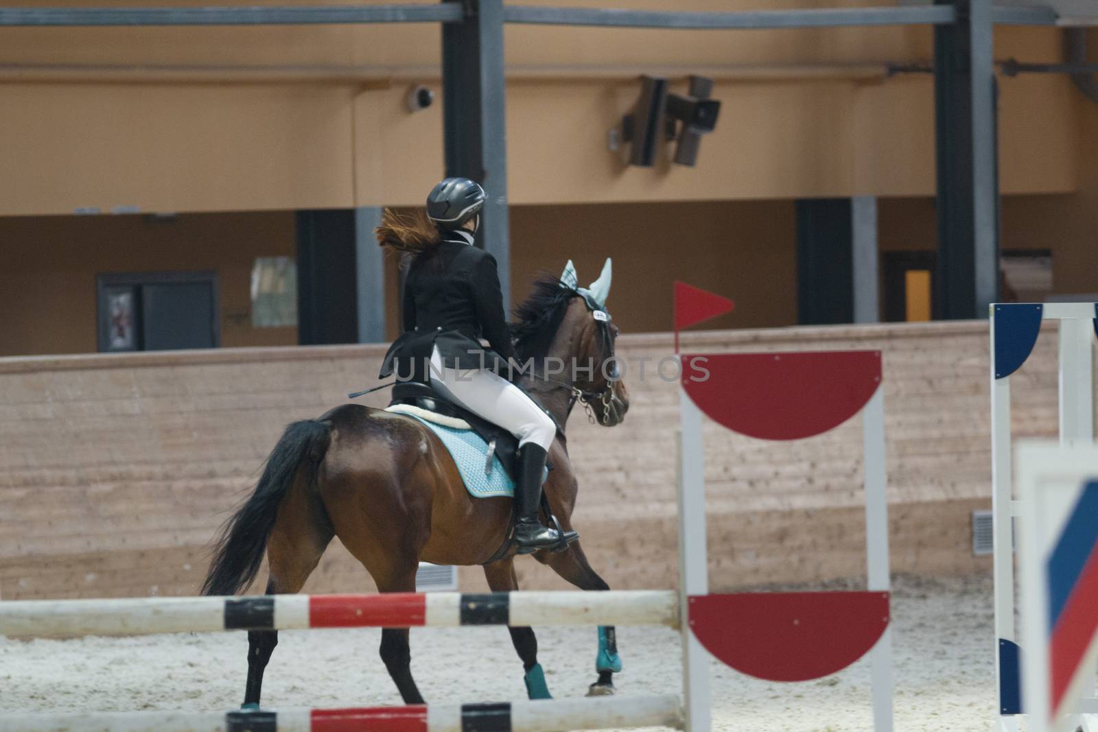 Rear view of female equestrian rider running on stallion at show jumping competition, telephoto shot