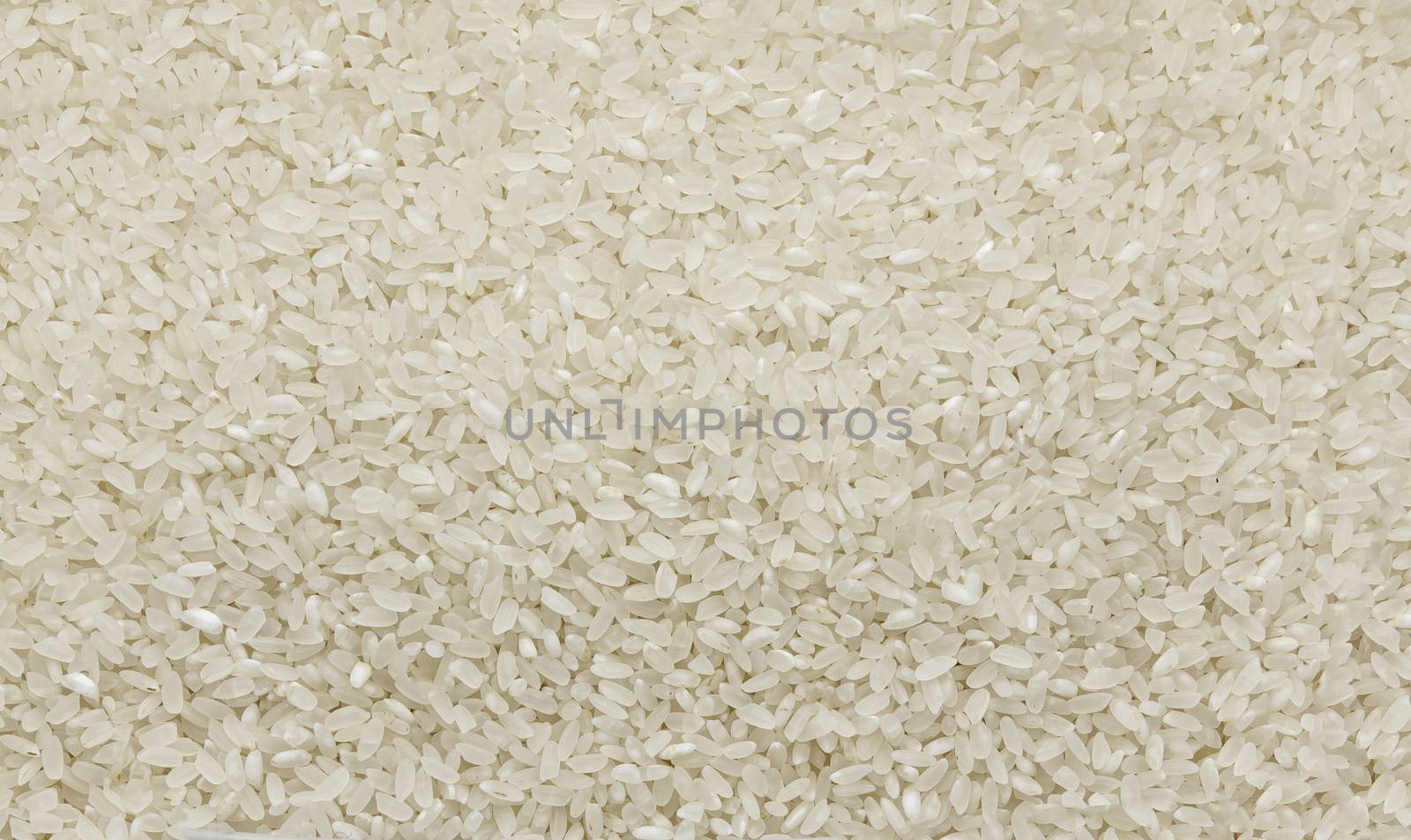 White polished rice grain - texture and details - traditional food by Studia72