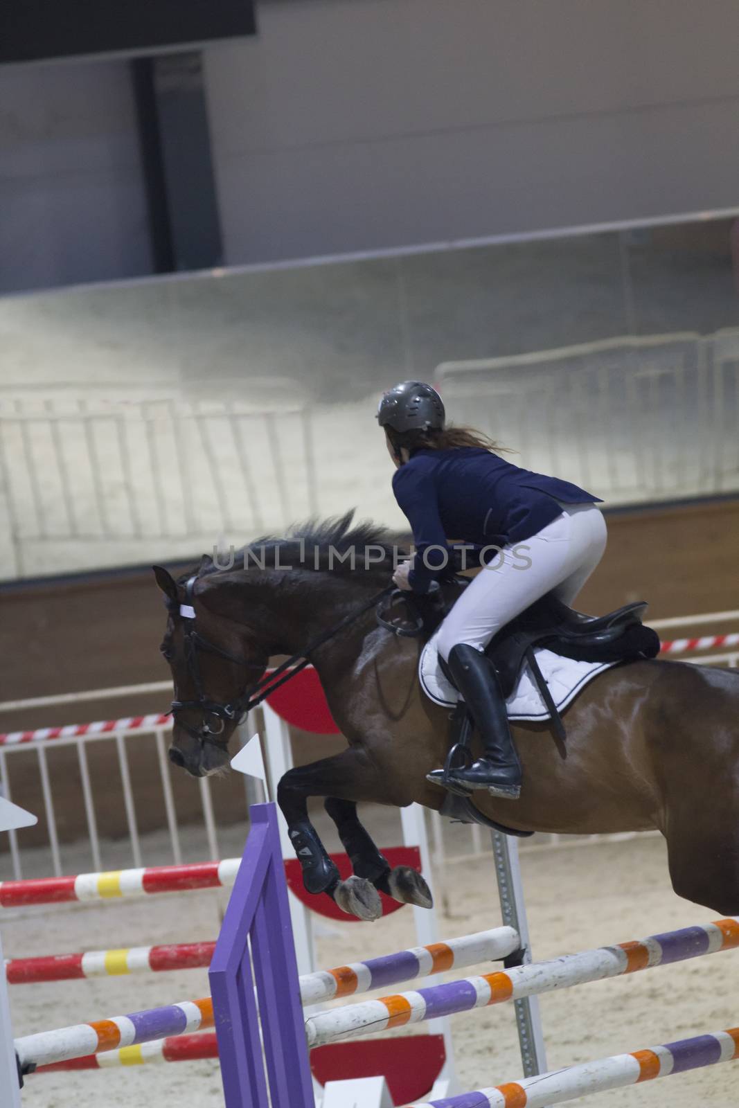 Young woman on the black stallion jumping over hurdle at show jumping competition, close up
