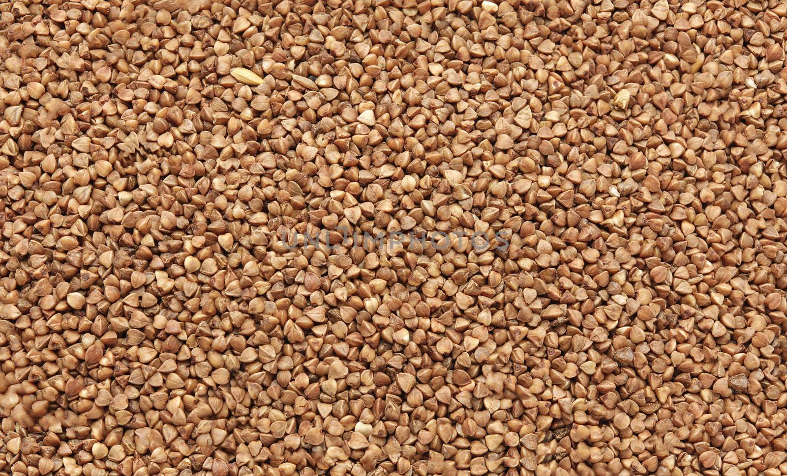 Buckwheat texture -uncooked raw food by Studia72